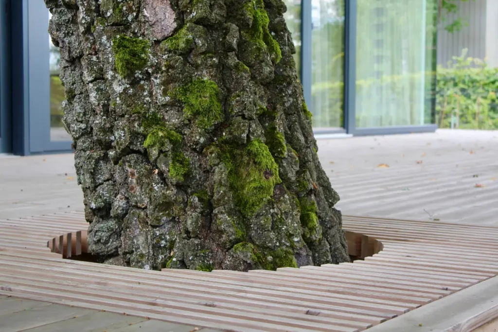 Karkasas terasai: kokio tipo tašus naudoti ilgaamžiam rezultatui?
