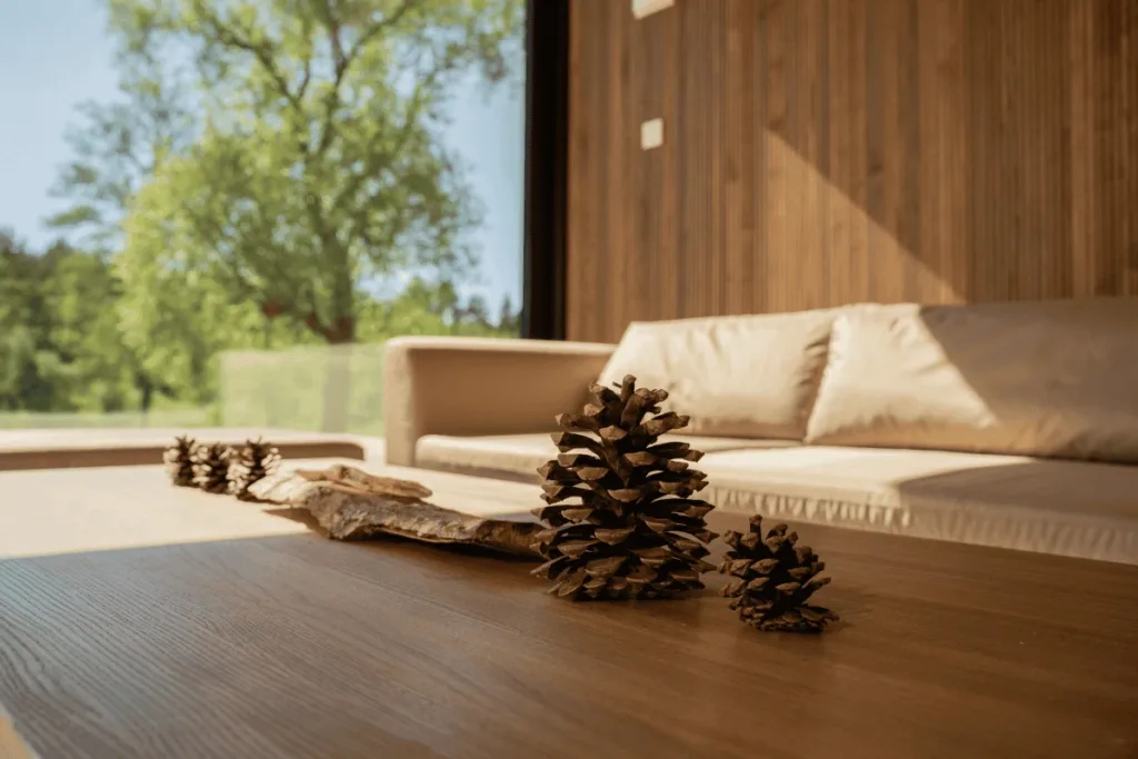 Skandinaviško stiliaus interjeras: dailylentės luboms ir sienoms